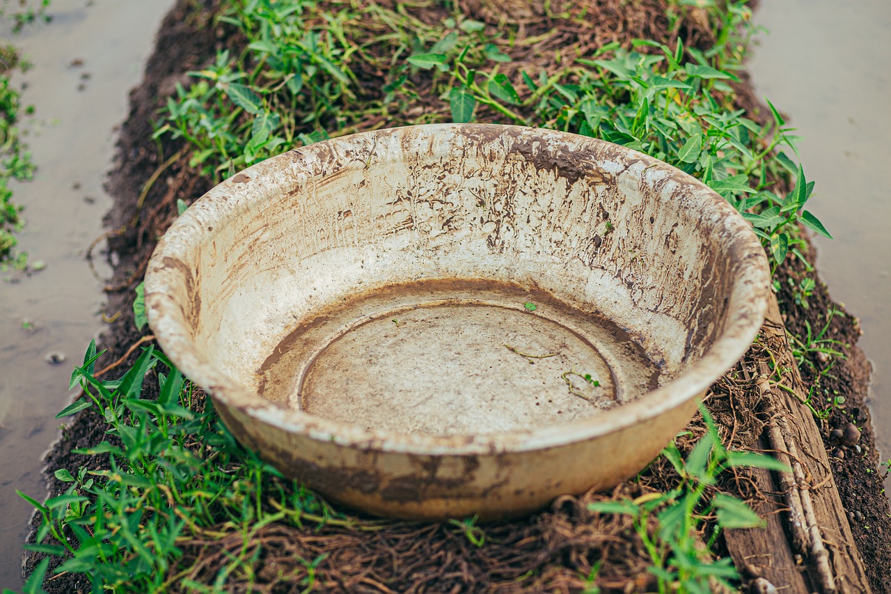 How Pottery Can Make Your Food Taste Better